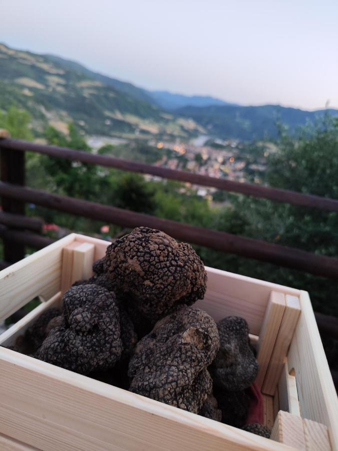 Il Torrione Del Trebbia Villa Bobbio Eksteriør billede